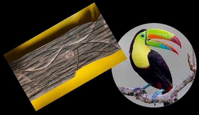 El tucan arcoiris en la escultura de San Francisco de Asís por IBO